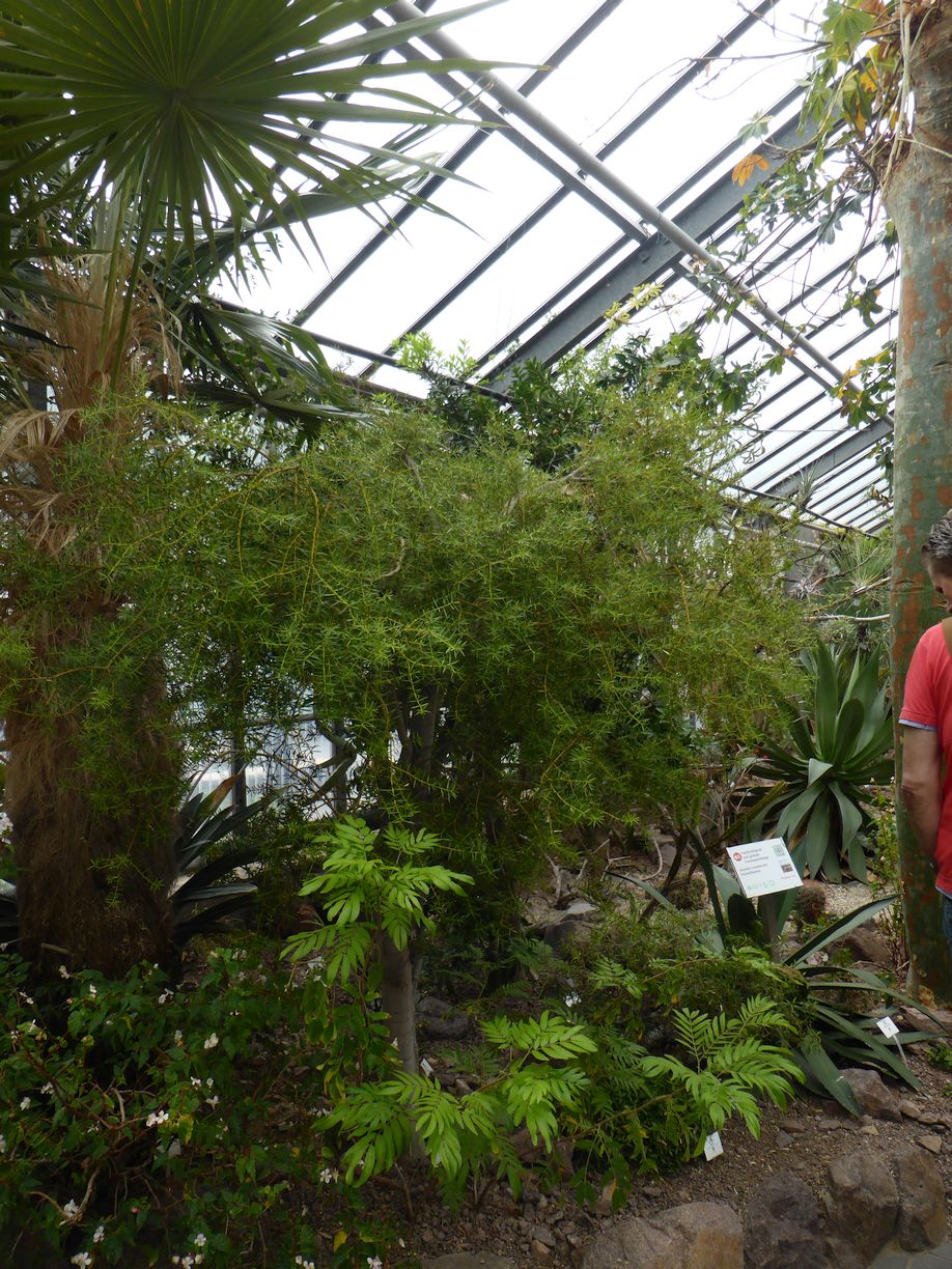 Jena_Botanischer_Garten_2025