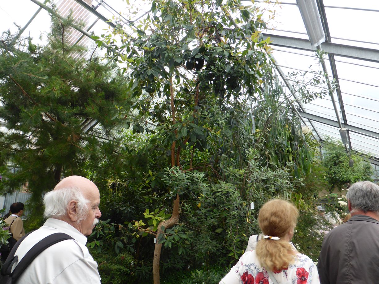 Jena_Botanischer_Garten_2025