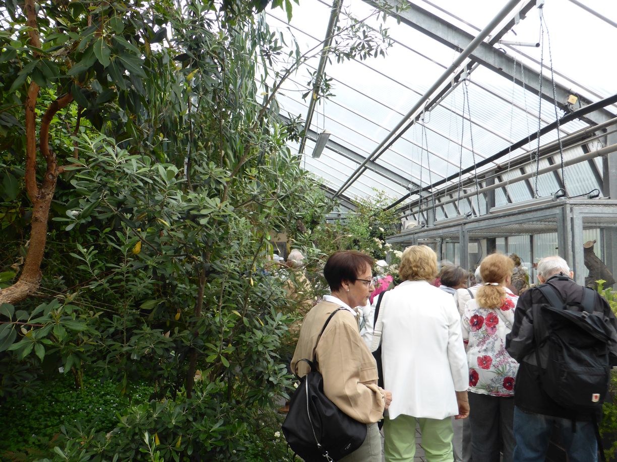 Jena_Botanischer_Garten_2025