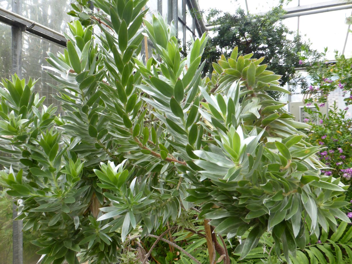 Jena_Botanischer_Garten_2025