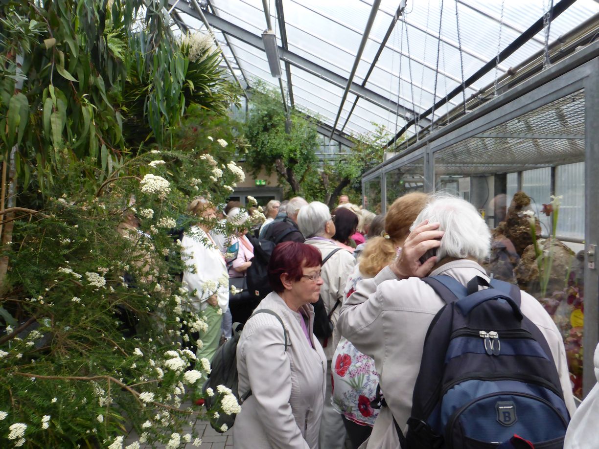 Jena_Botanischer_Garten_2025