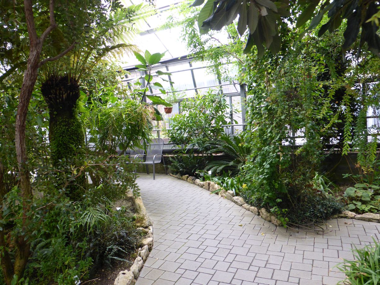 Jena_Botanischer_Garten_2025