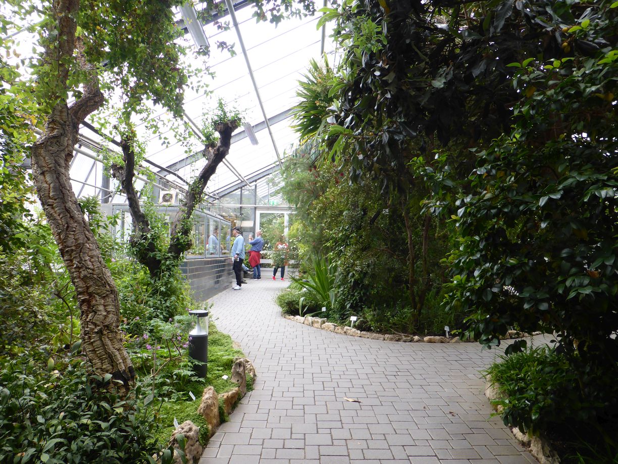 Jena_Botanischer_Garten_2025
