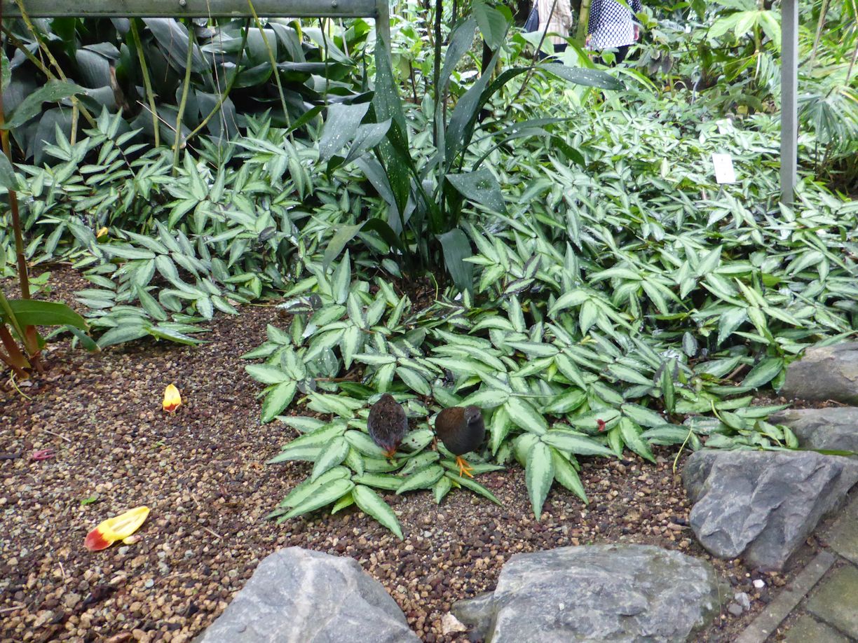 Jena_Botanischer_Garten_2025