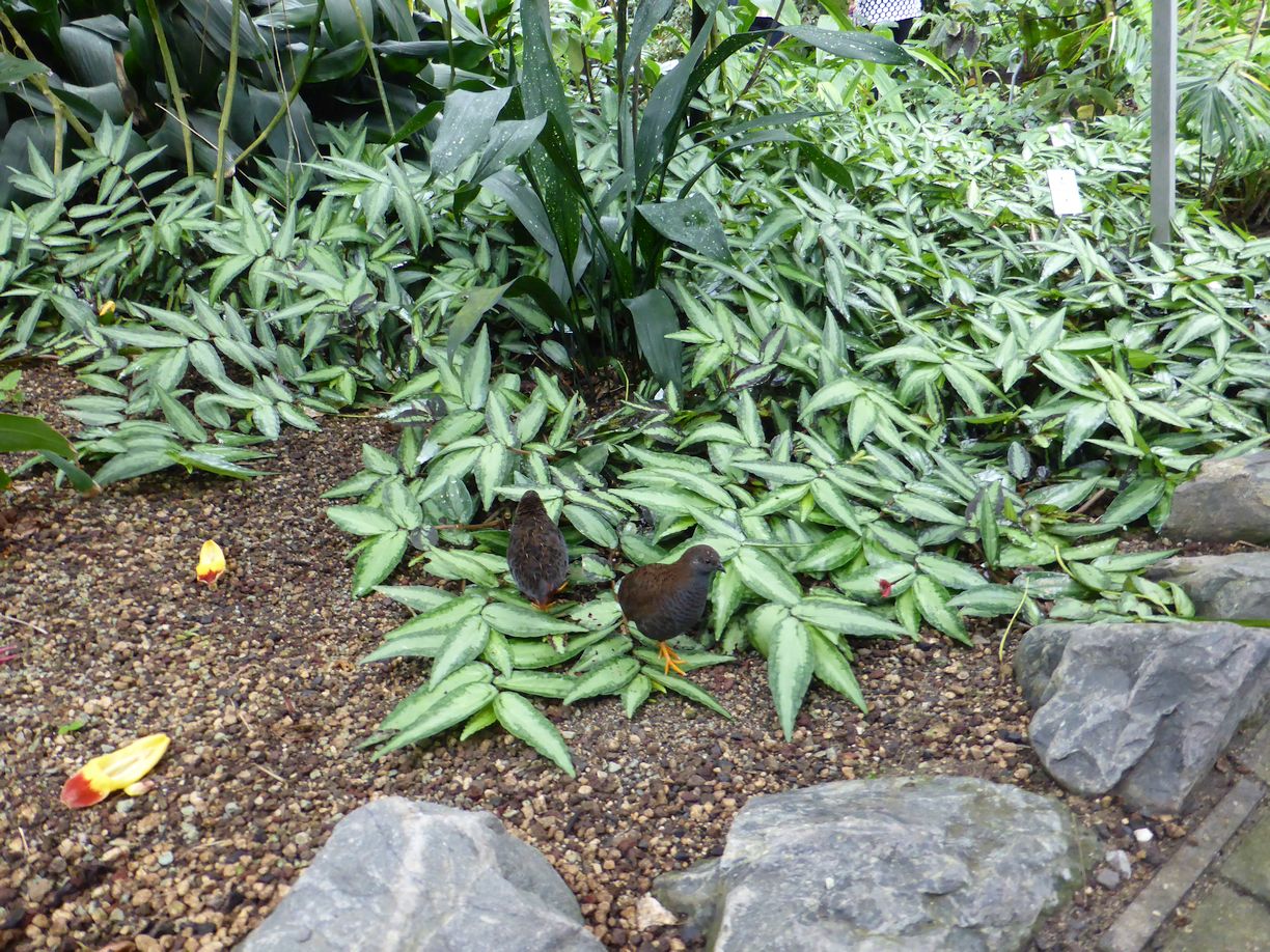 Jena_Botanischer_Garten_2025