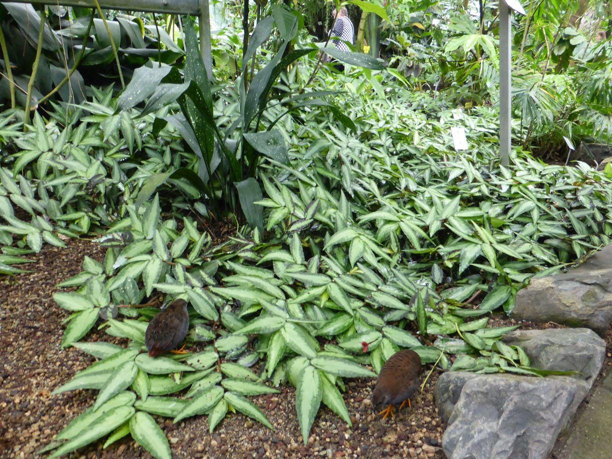 Jena_Botanischer_Garten_2025