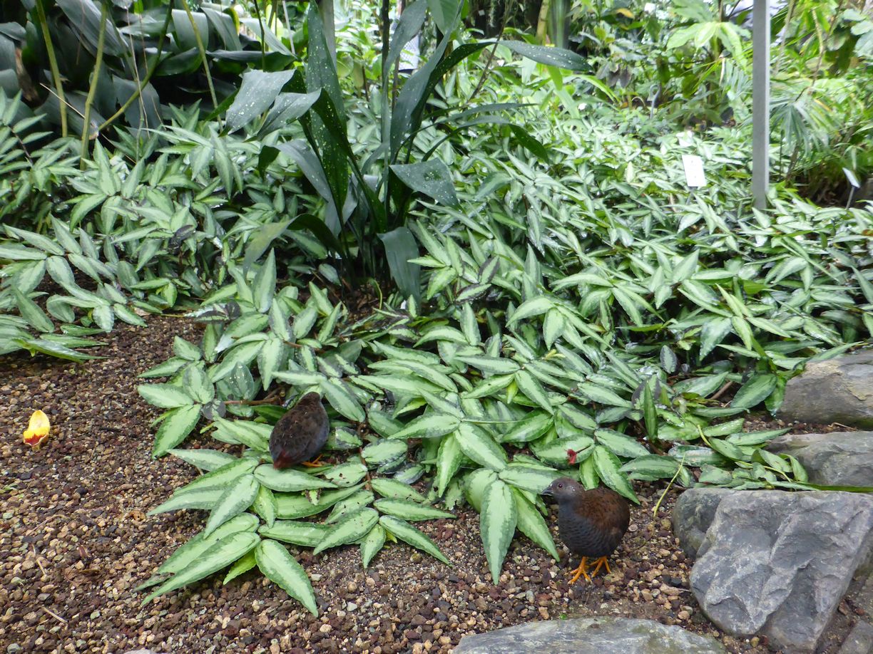 Jena_Botanischer_Garten_2025