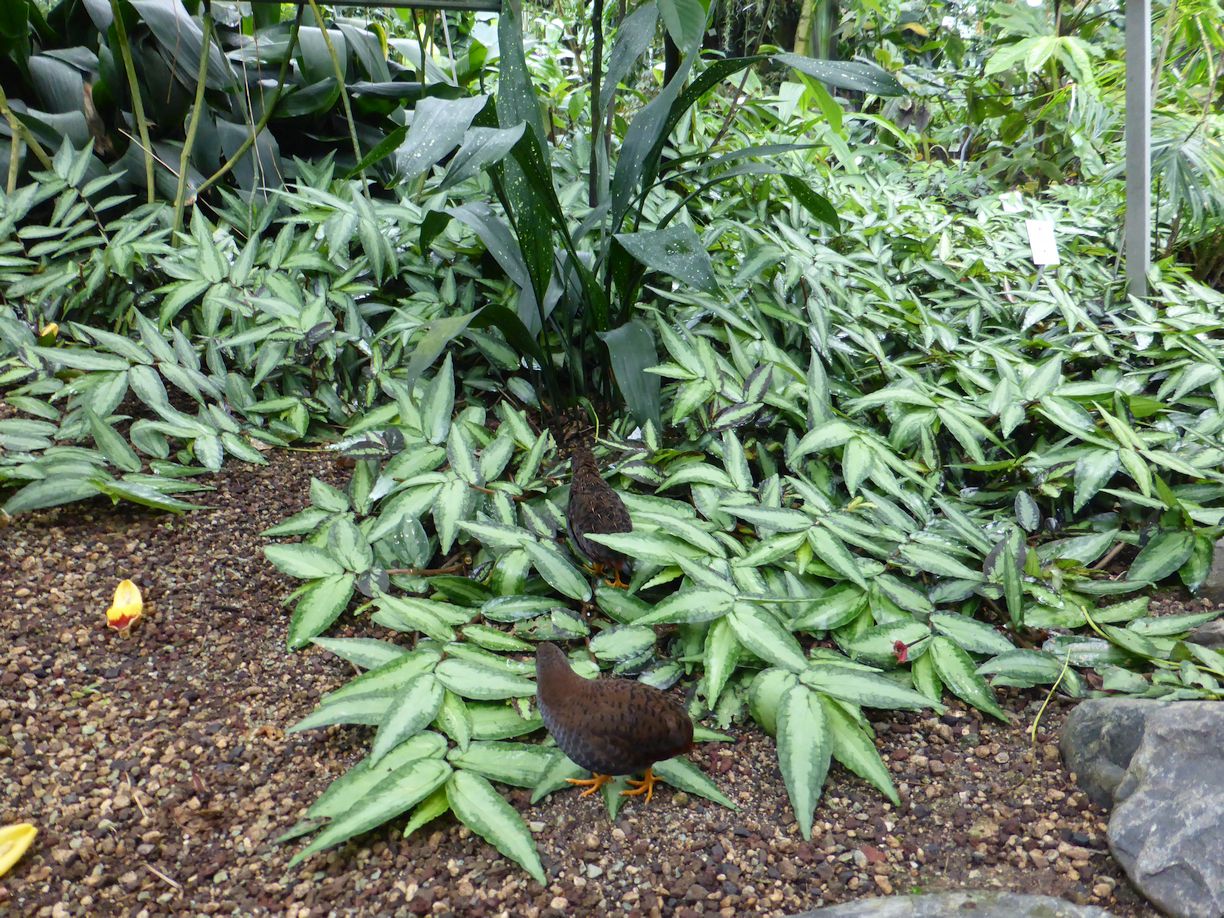 Jena_Botanischer_Garten_2025