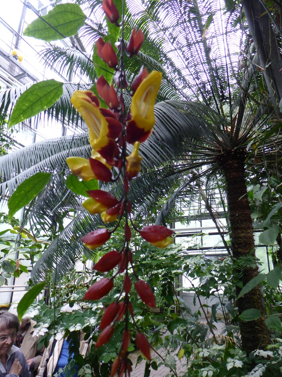 Jena_Botanischer_Garten_2025