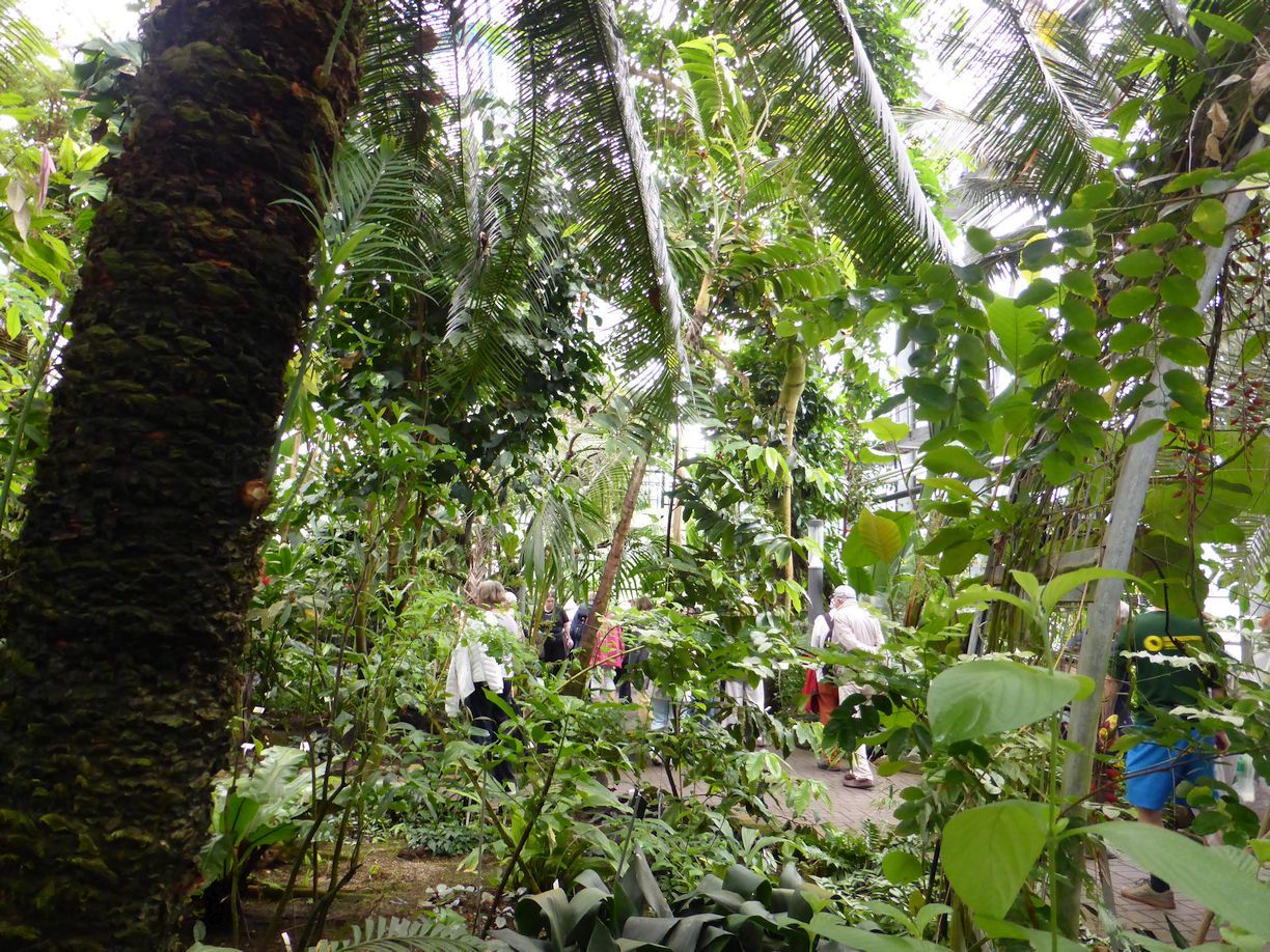 Jena_Botanischer_Garten_2025