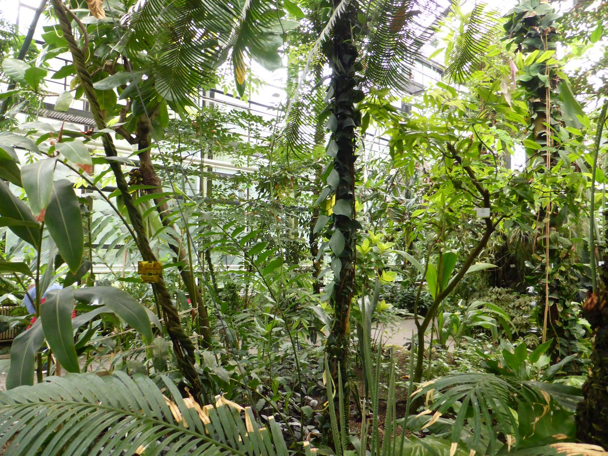Jena_Botanischer_Garten_2025