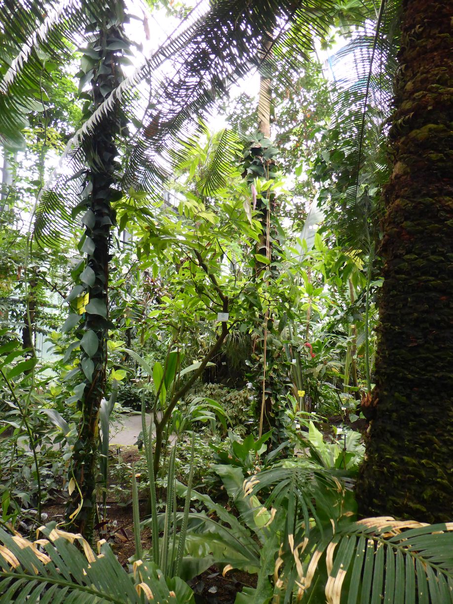 Jena_Botanischer_Garten_2025