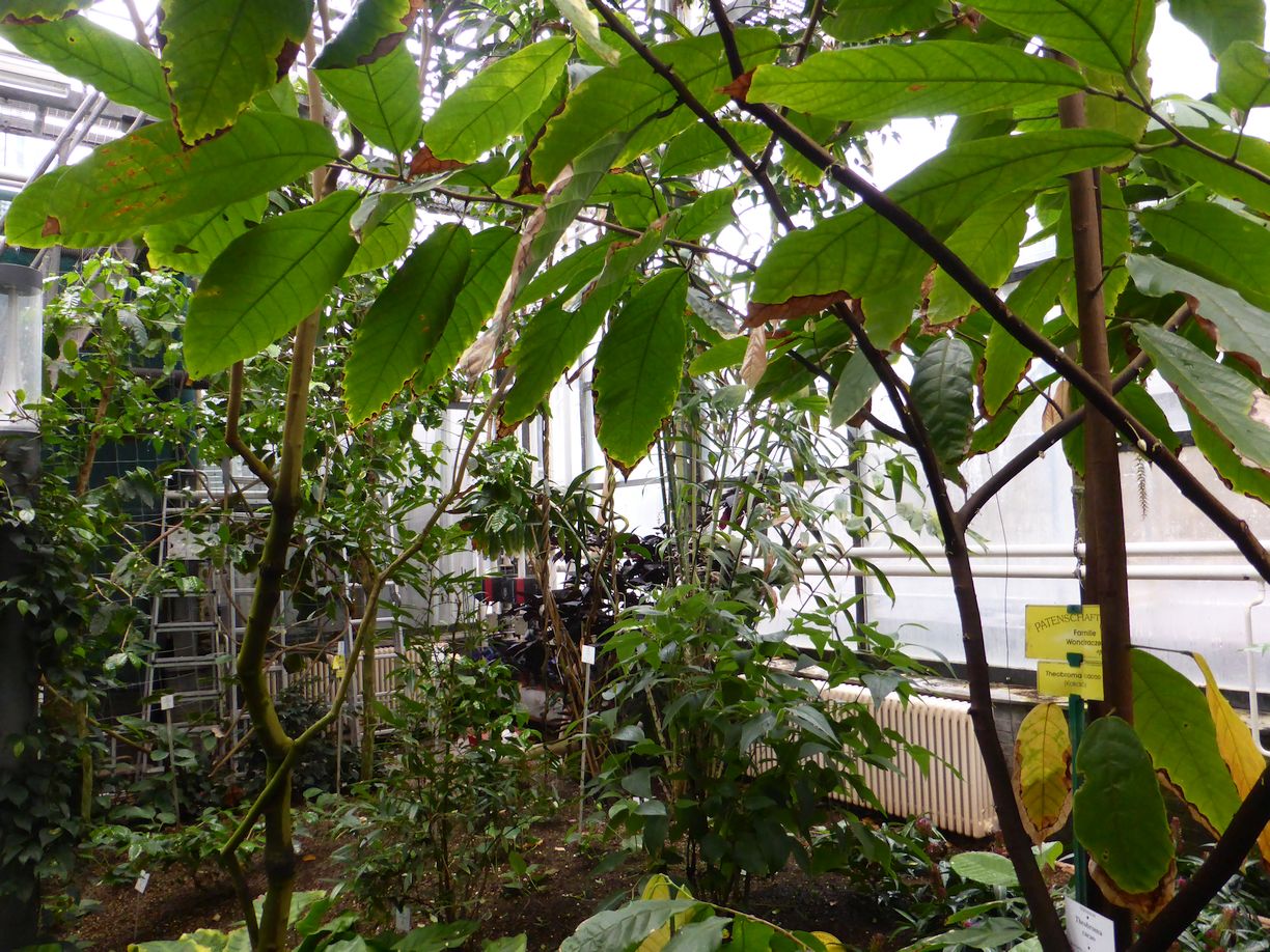 Jena_Botanischer_Garten_2025