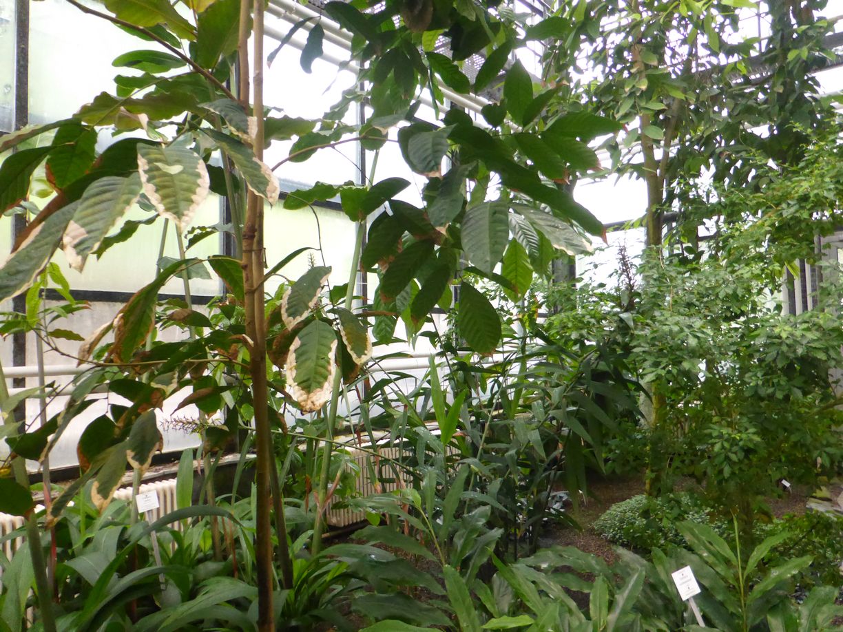 Jena_Botanischer_Garten_2025