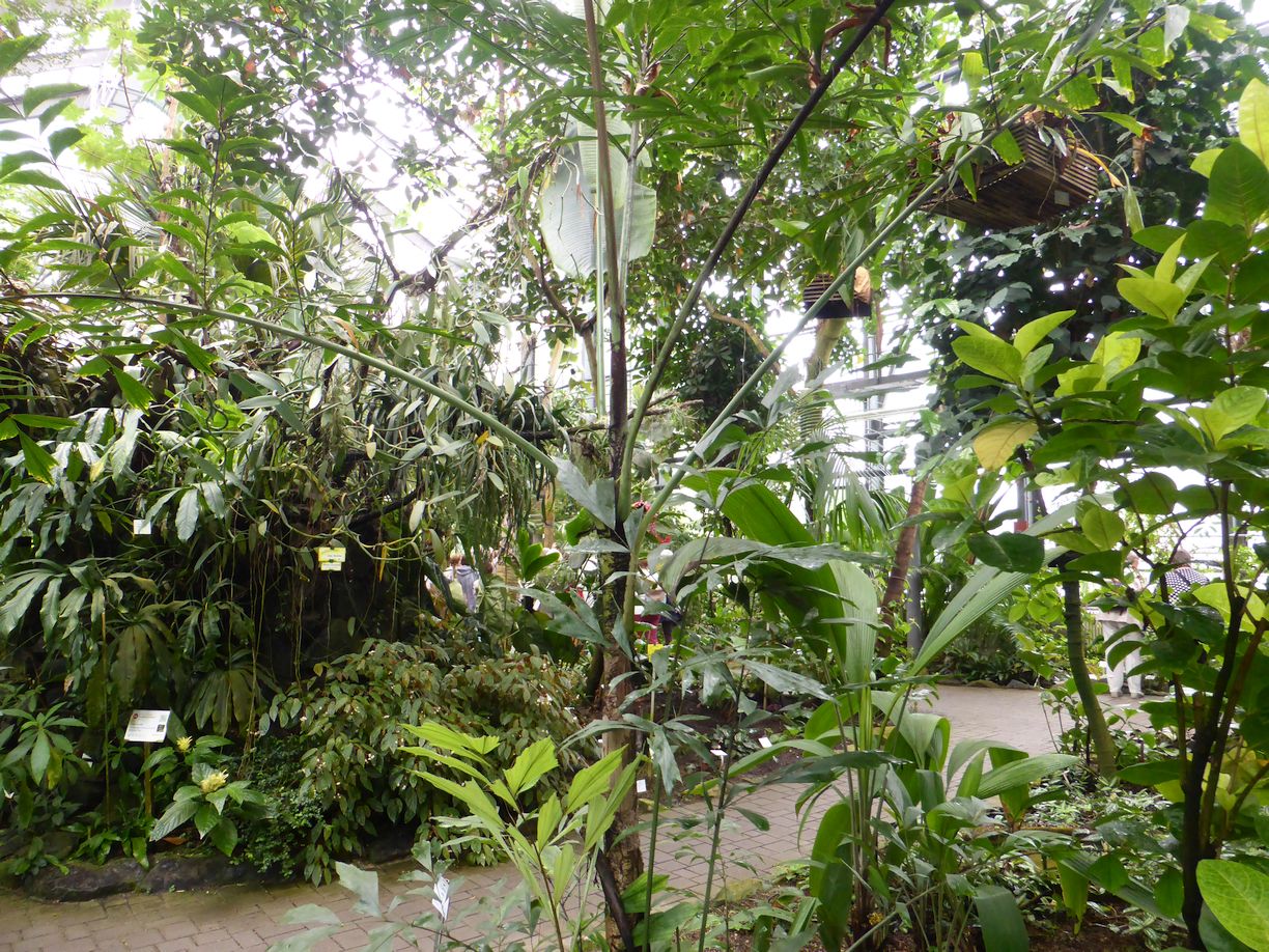 Jena_Botanischer_Garten_2025