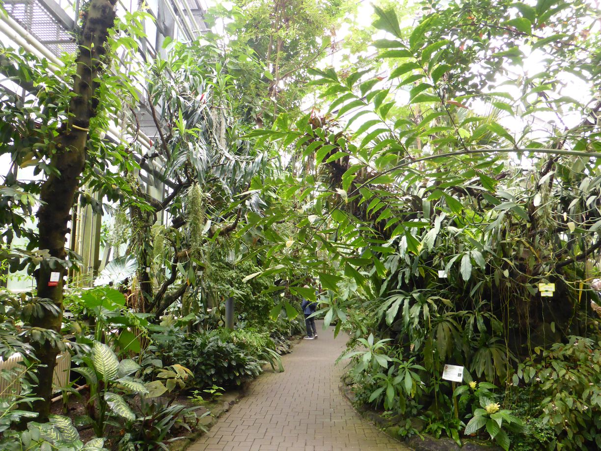 Jena_Botanischer_Garten_2025