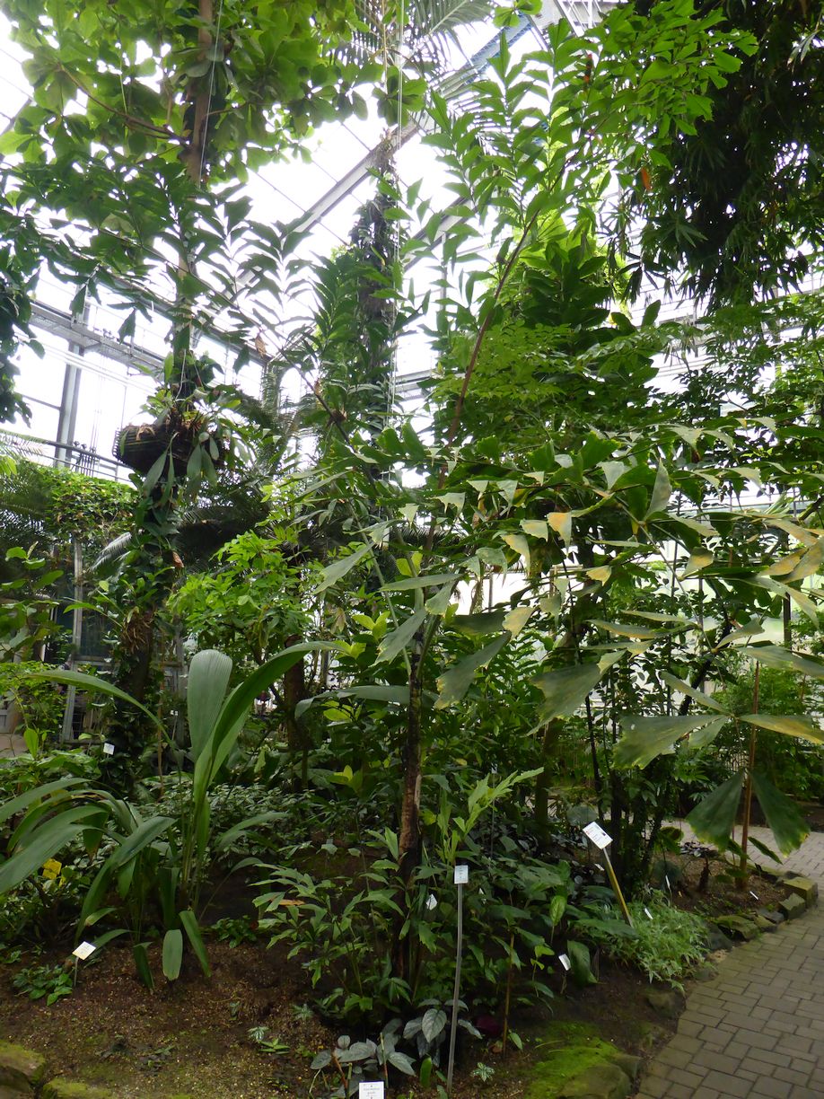Jena_Botanischer_Garten_2025