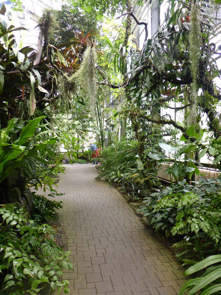 Jena_Botanischer_Garten_2025
