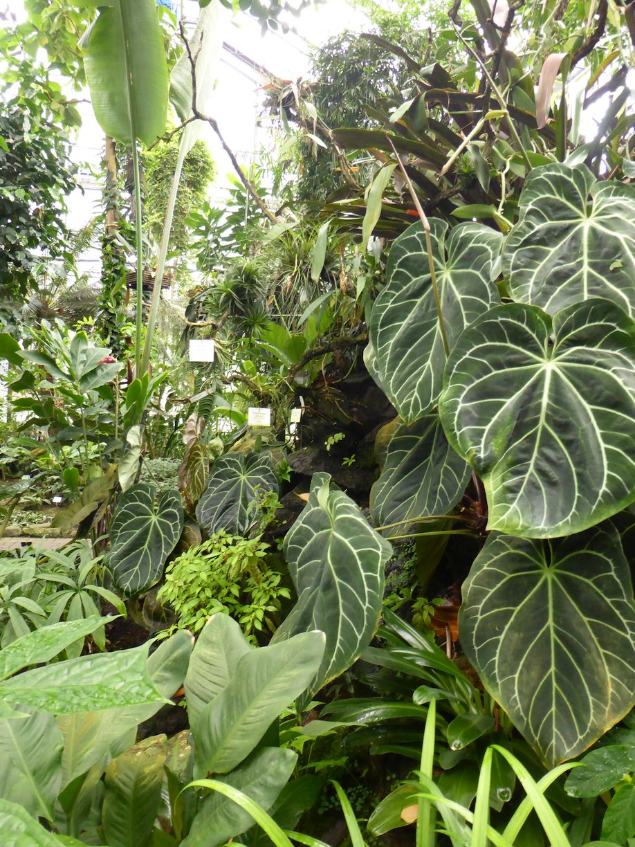 Jena_Botanischer_Garten_2025