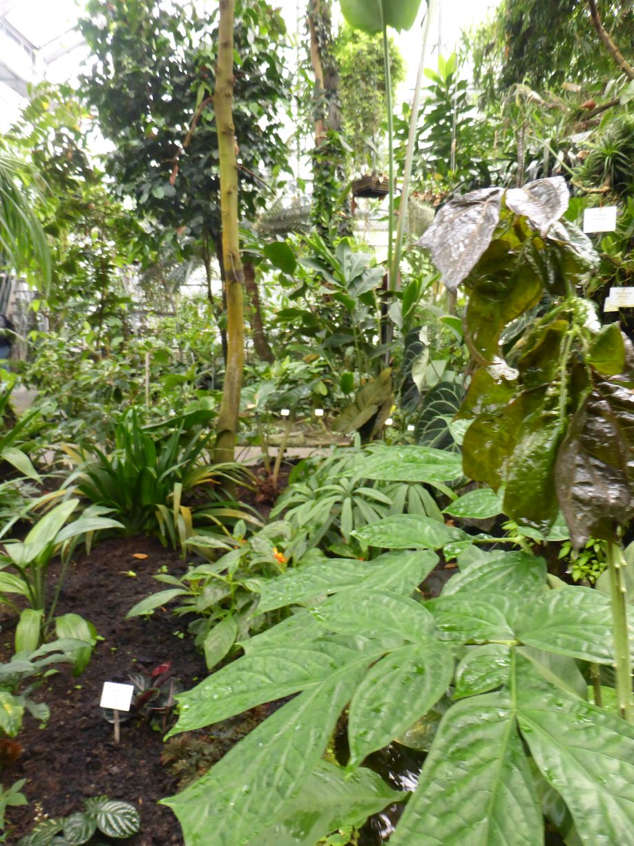 Jena_Botanischer_Garten_2025