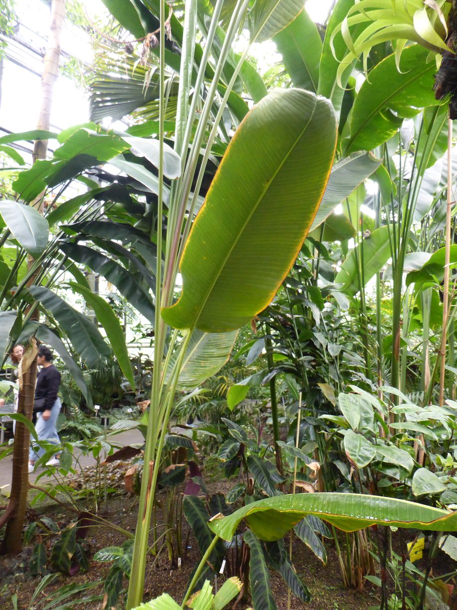 Jena_Botanischer_Garten_2025