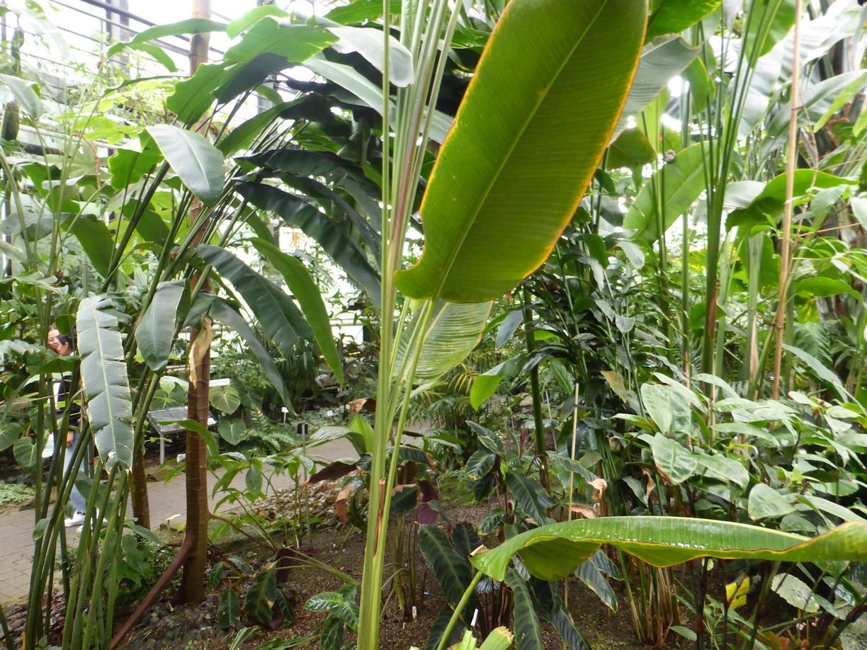 Jena_Botanischer_Garten_2025