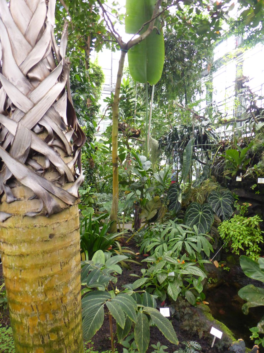 Jena_Botanischer_Garten_2025