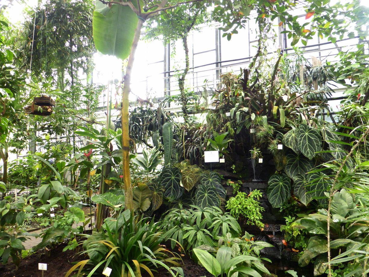 Jena_Botanischer_Garten_2025
