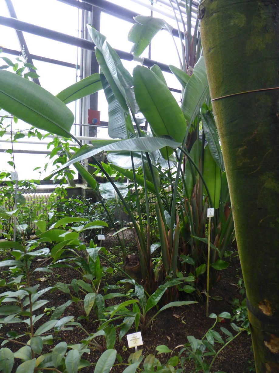 Jena_Botanischer_Garten_2025