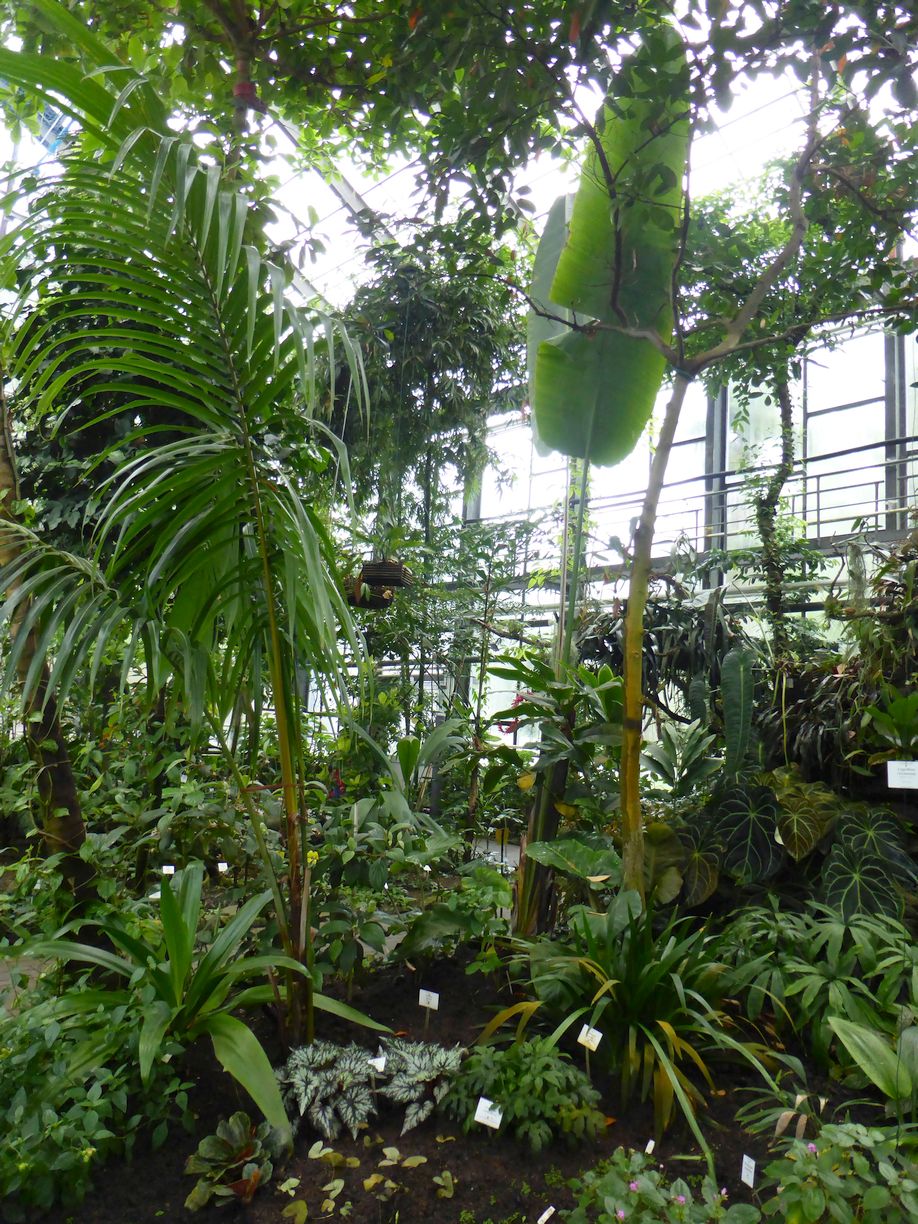 Jena_Botanischer_Garten_2025