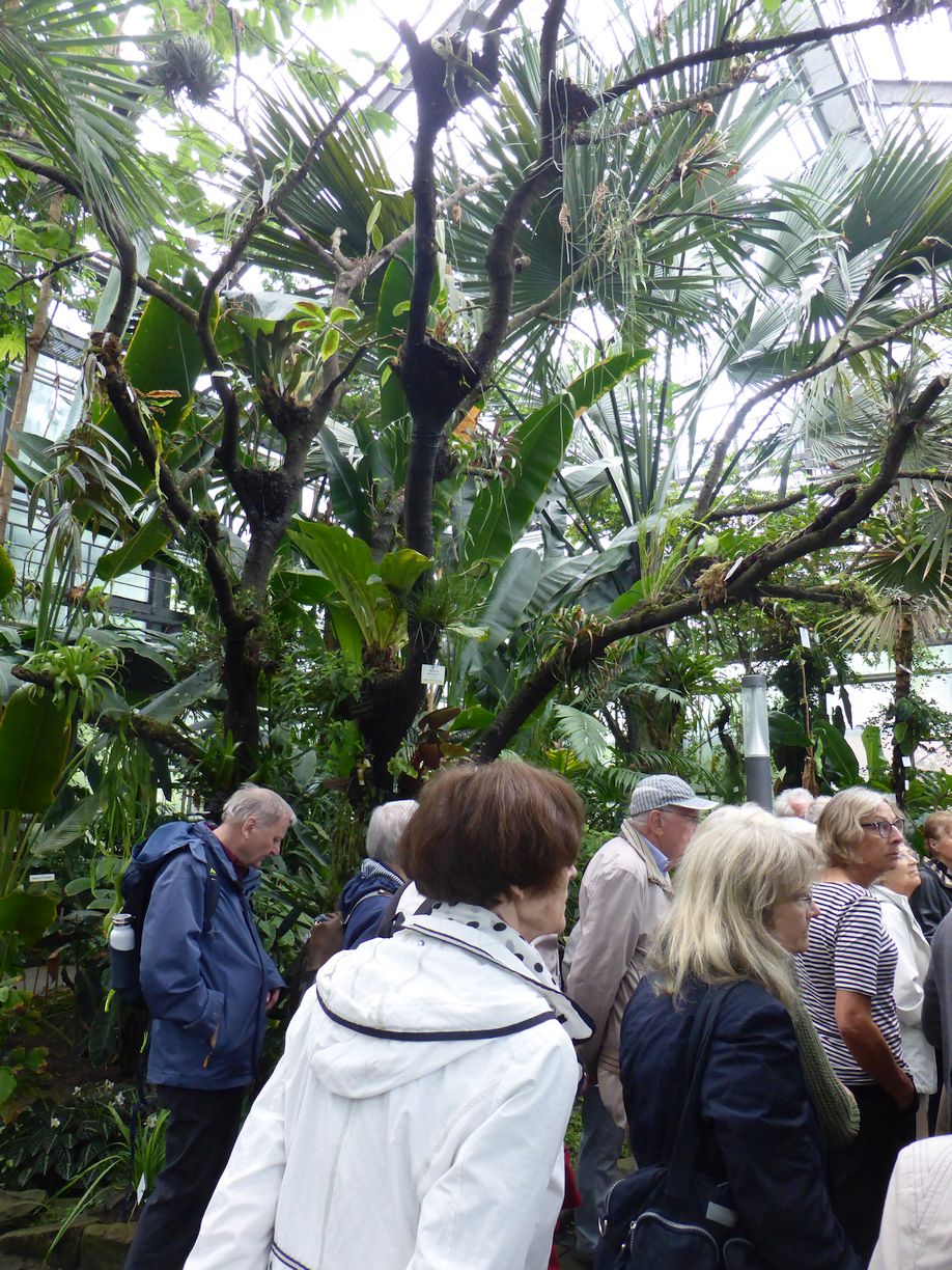 Jena_Botanischer_Garten_2025