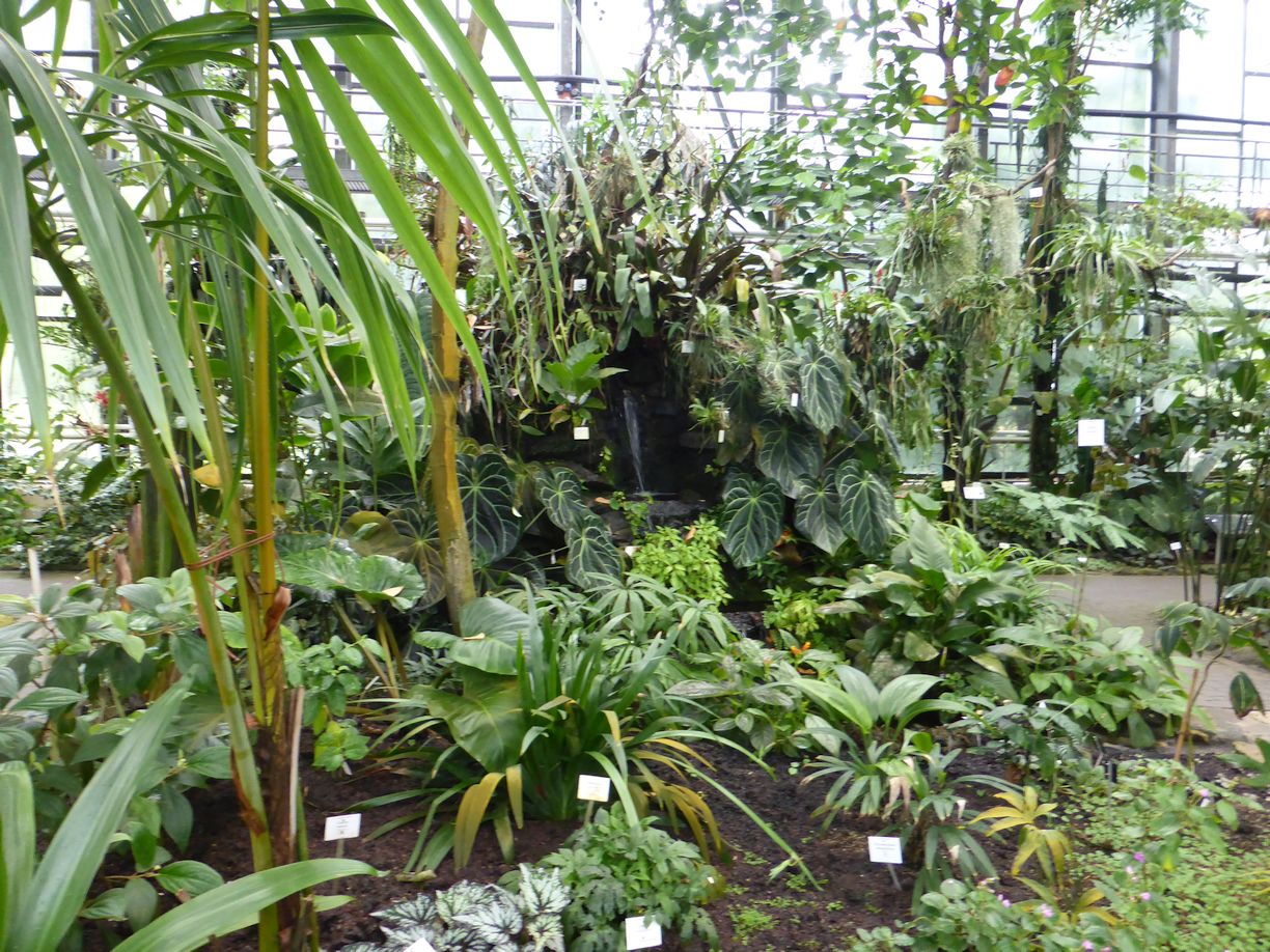 Jena_Botanischer_Garten_2025