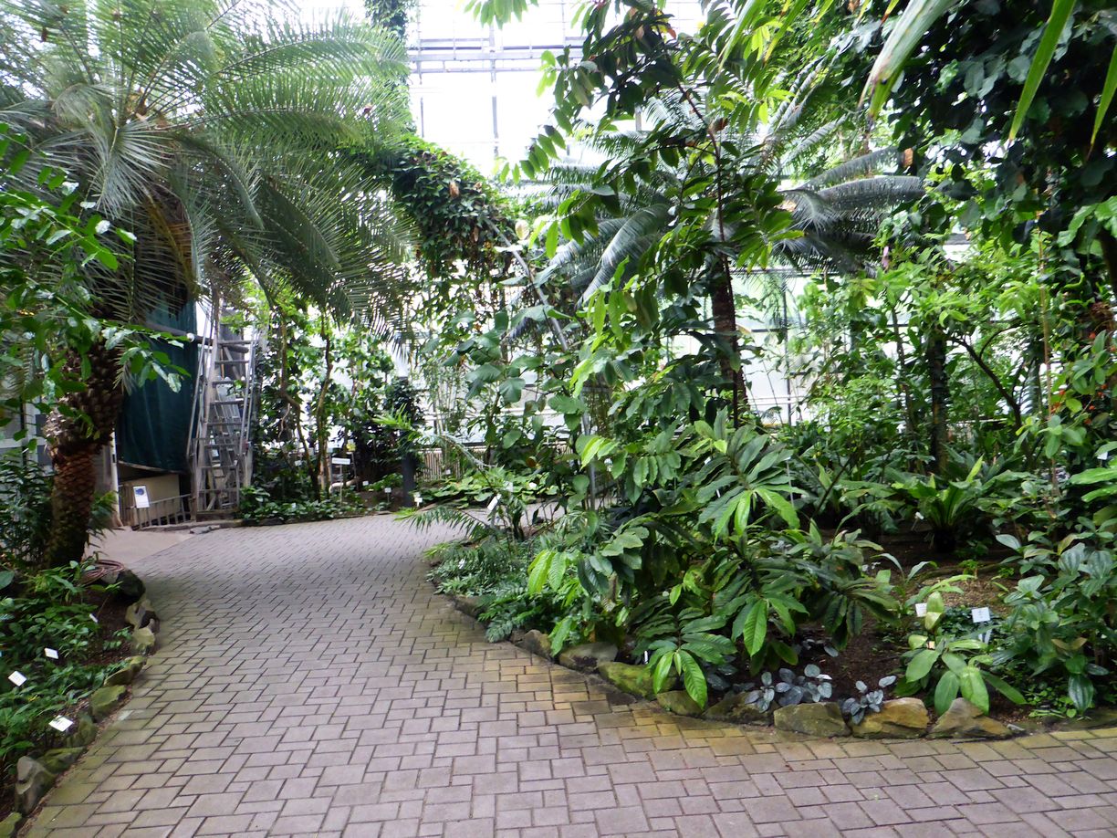 Jena_Botanischer_Garten_2025