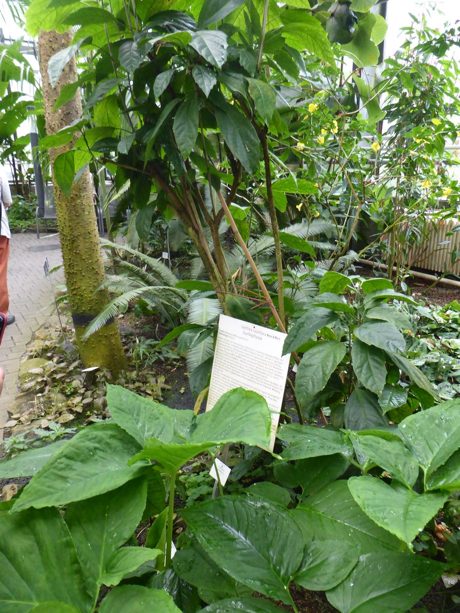 Jena_Botanischer_Garten_2025