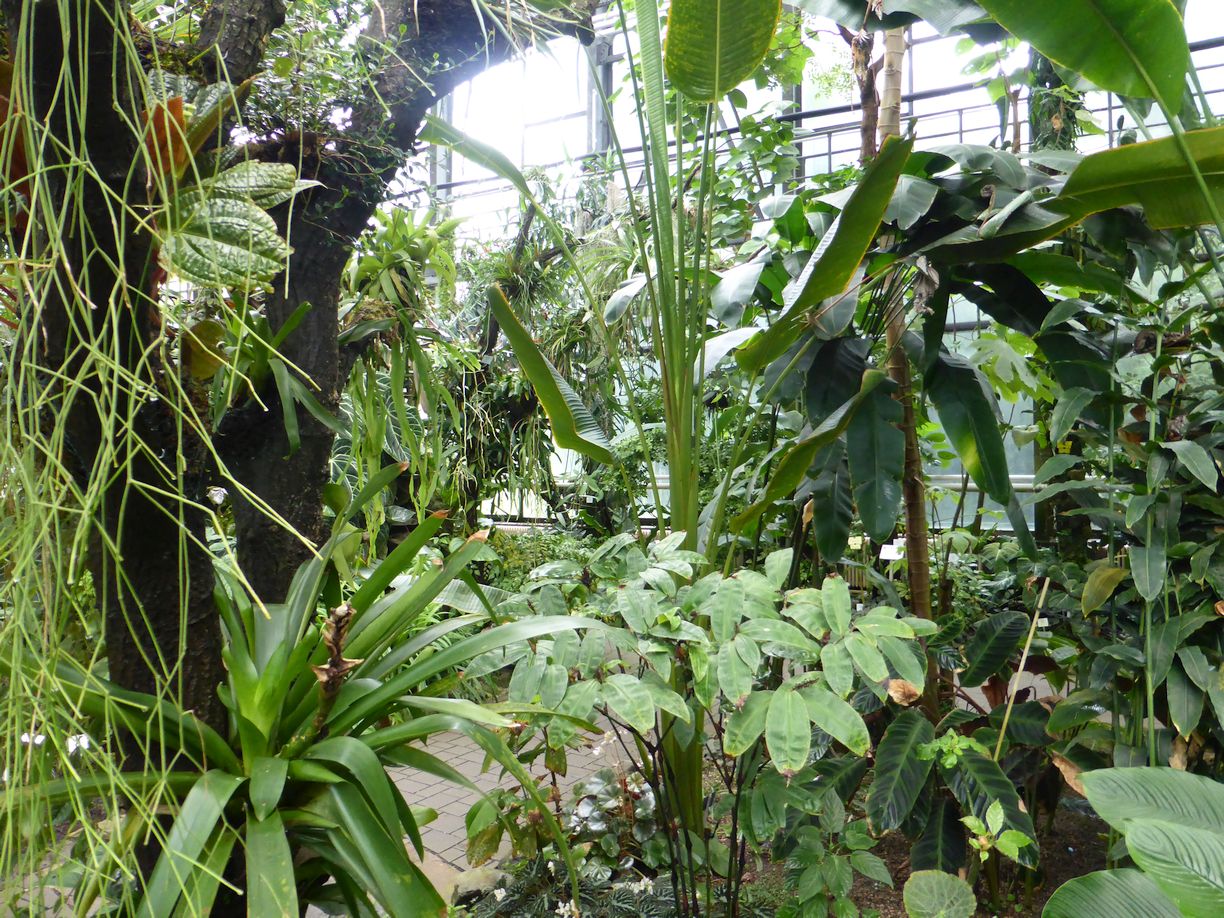 Jena_Botanischer_Garten_2025