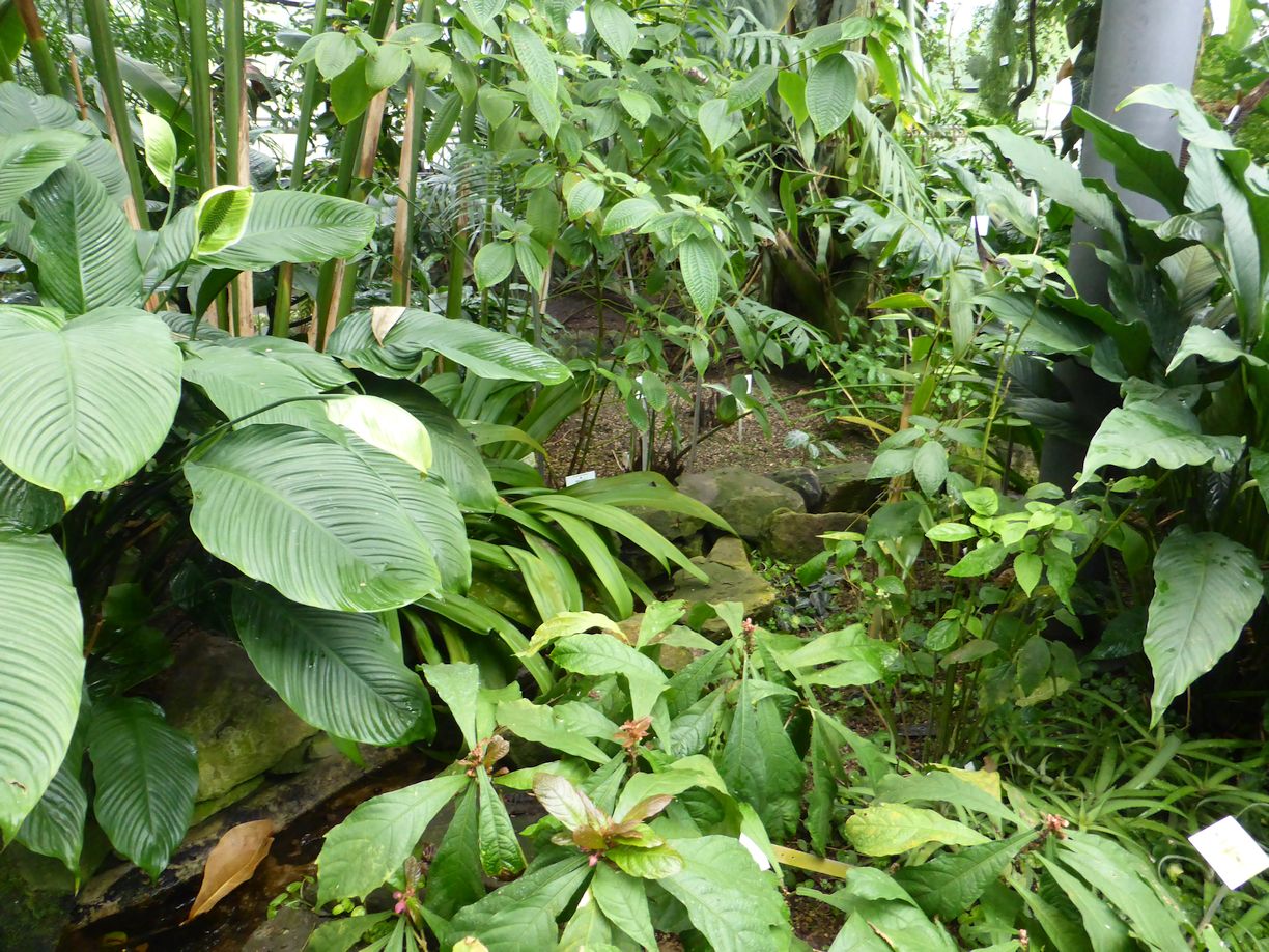 Jena_Botanischer_Garten_2025