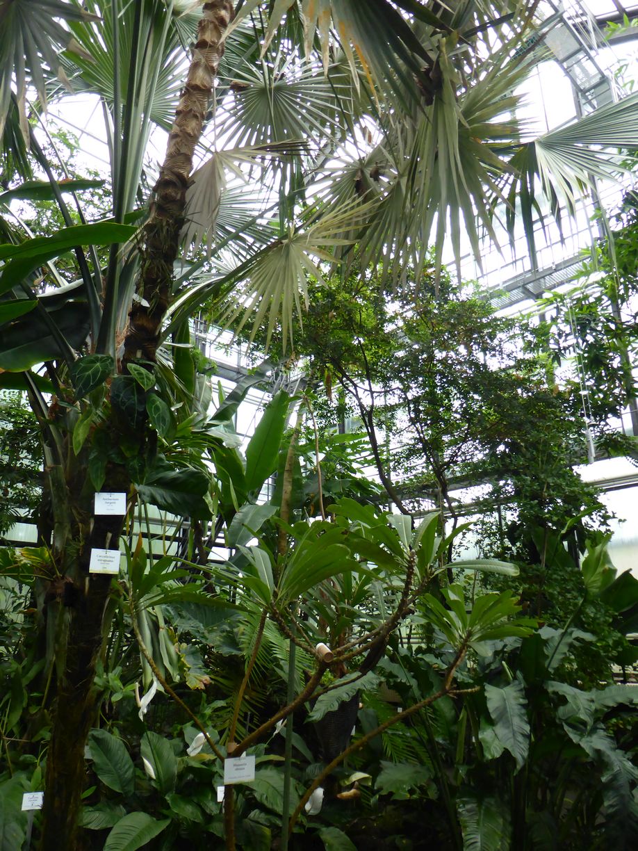 Jena_Botanischer_Garten_2025