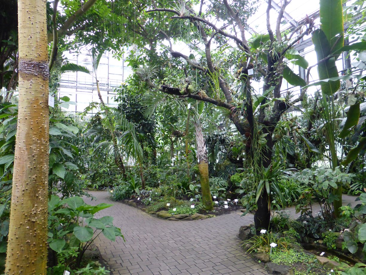 Jena_Botanischer_Garten_2025