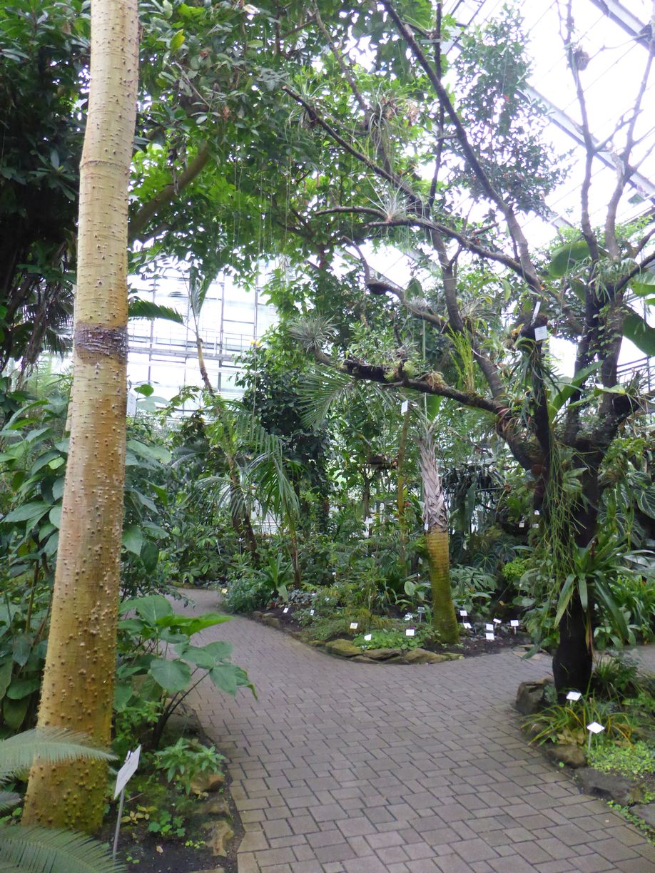 Jena_Botanischer_Garten_2025