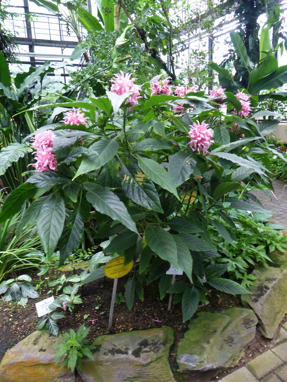 Jena_Botanischer_Garten_2025