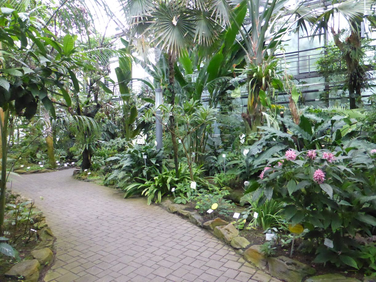 Jena_Botanischer_Garten_2025