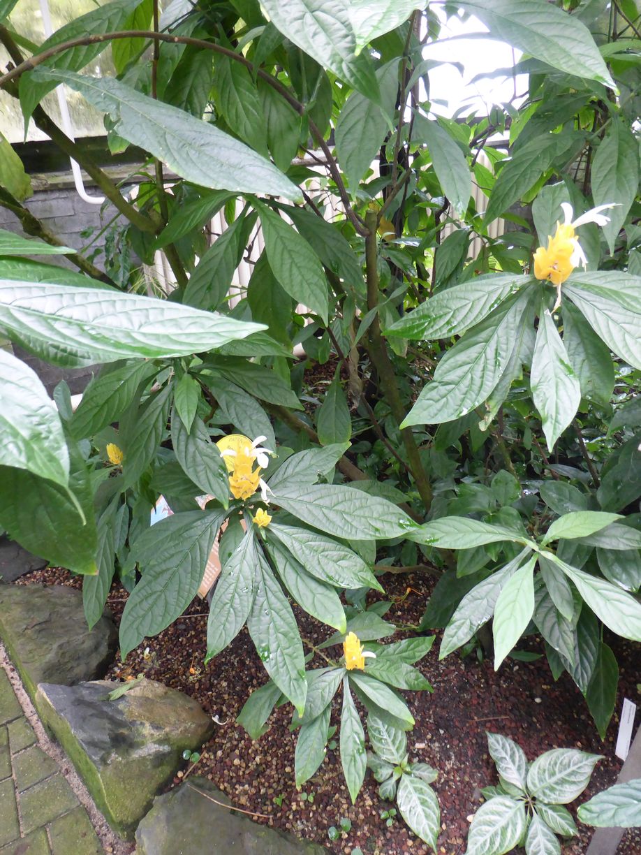 Jena_Botanischer_Garten_2025