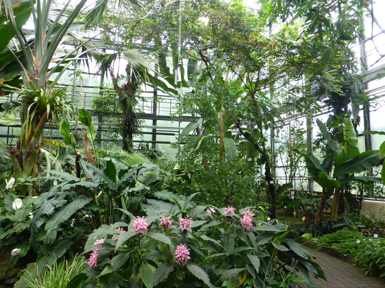 Jena_Botanischer_Garten_2025