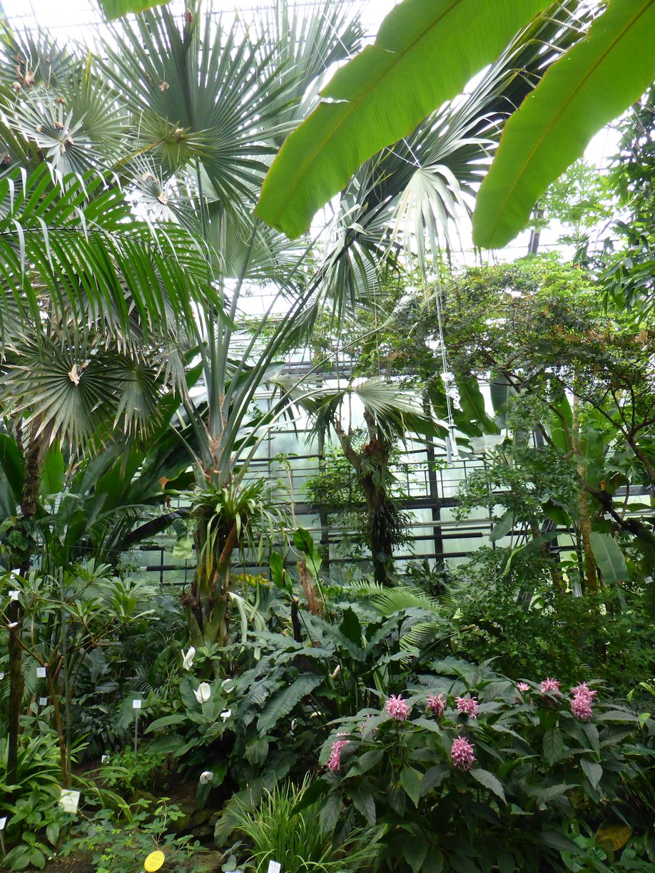 Jena_Botanischer_Garten_2025