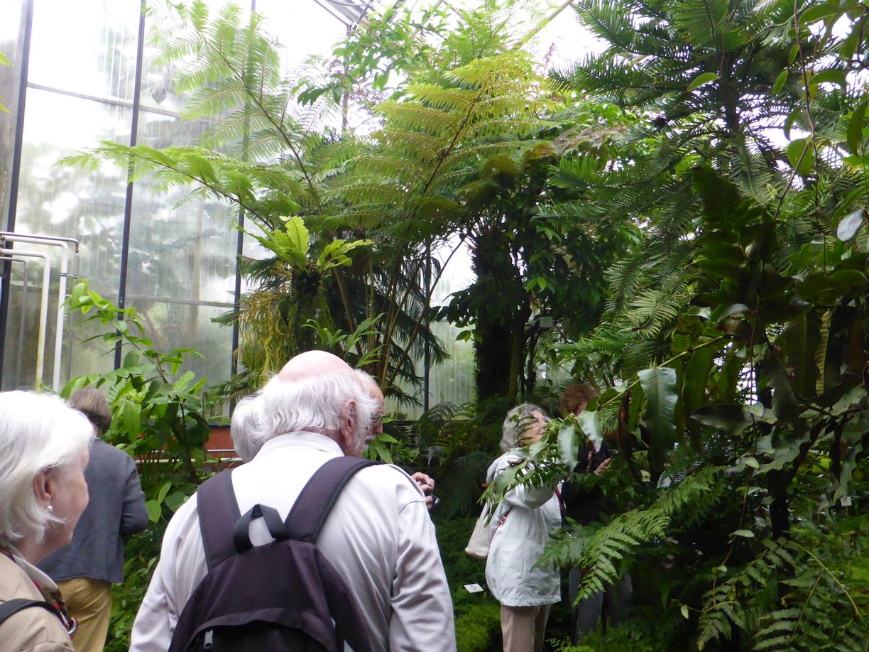 Jena_Botanischer_Garten_2025