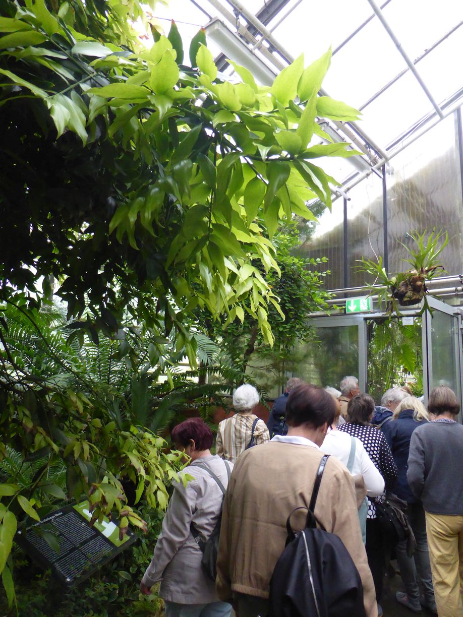 Jena_Botanischer_Garten_2025