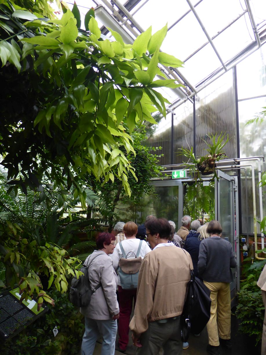 Jena_Botanischer_Garten_2025