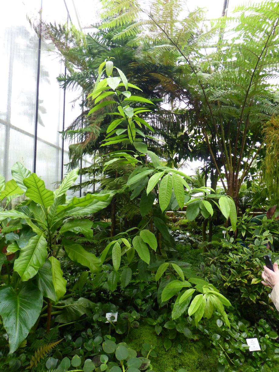 Jena_Botanischer_Garten_2025