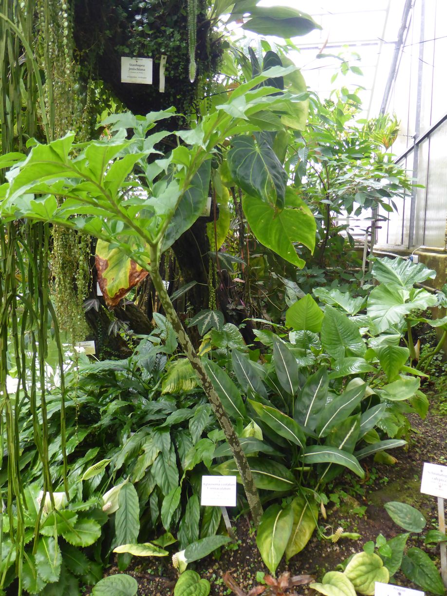 Jena_Botanischer_Garten_2025