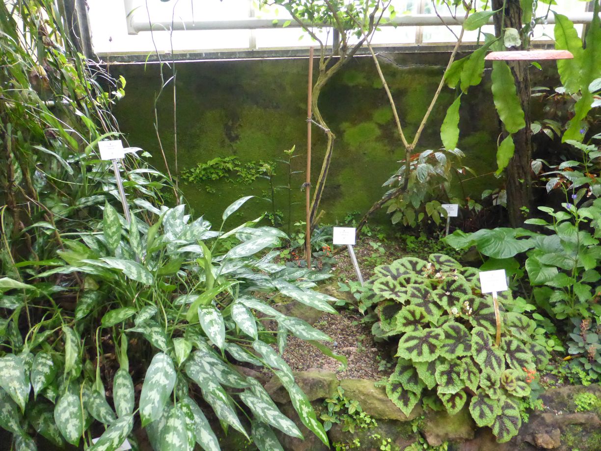 Jena_Botanischer_Garten_2025